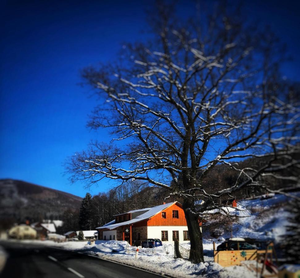 Chata U Cecila Loučná nad Desnou Exterior foto